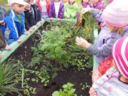 Zahradničíme ve školce